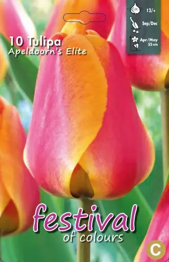 [09-200002] Tulips Apeldoorn's Elite (12/+) - 10 st