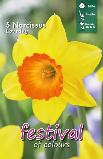 [09-202286] Narcissus LOVE DAY - 5 st
