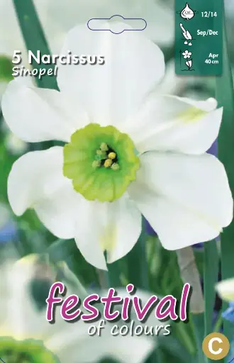 [09-201799] Narcissus SINOPEL - 5 st