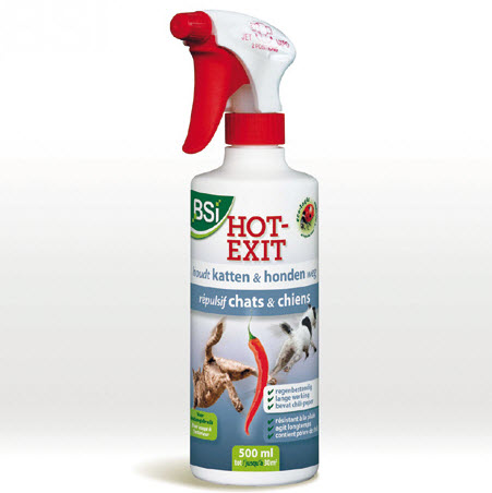 [15-008647] Hot exit - 500 ml