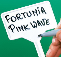 [12-007917] Kunststof plaatetiketten - 10 st - 30 cm