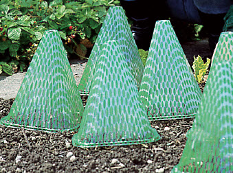 [12-007937] Plantenhoed ca 19 cm - 10 st