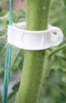 [12-008903] Tomatenclips composteerbaar bio 23 mm - 100 st