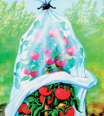 [12-008998] Housse pour tomates - longueur 10 m
