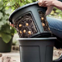 [12-007348] Pot à cultiver - 1 pc