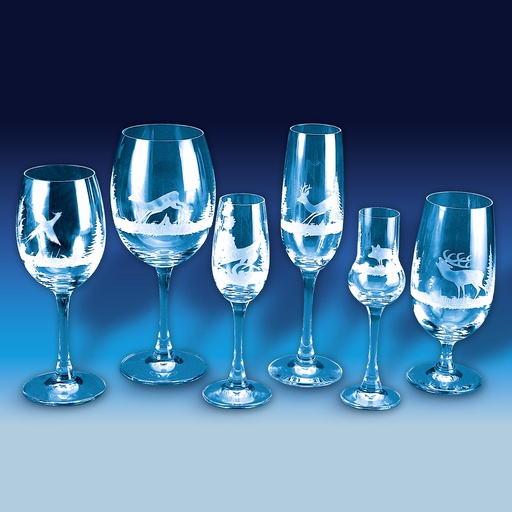 [FRI-21109-05] Champagneglas JACHT gravure - 6 st