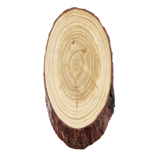 [FRI-00536-01] Reeschild 22/12 Naturel Ovaal - 1 st