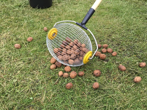 [12-005008] Notenraper