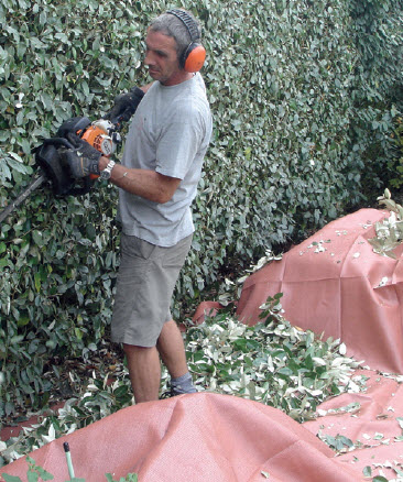 [12-008709] Snoeimat - 1,5 x 6 m