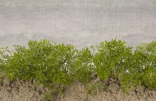 [12-007374] Toile anti-insectes ultraléger largeur 480 cm - prix par mètre courant