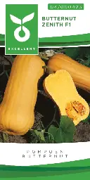 [04-000423] Butternut ZENITH F1 - ca 10 z