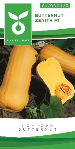 [04-000423] Butternut ZENITH F1 - ca 10 z