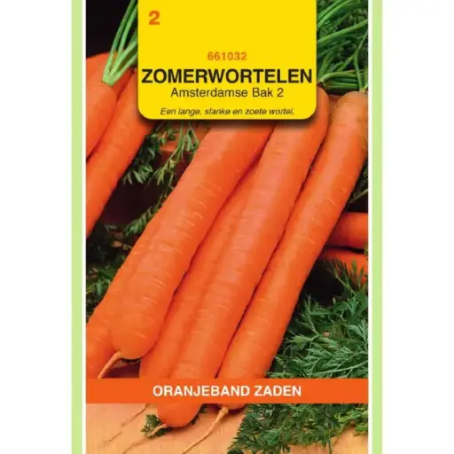 [04-000791] Carottes AMSTERDAMSE BAK 2 - ca 2 g