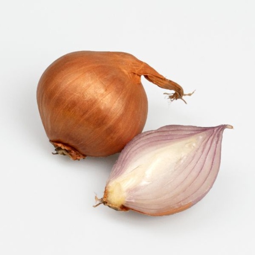 Echalot à planter RED SUN - ca. 500 g