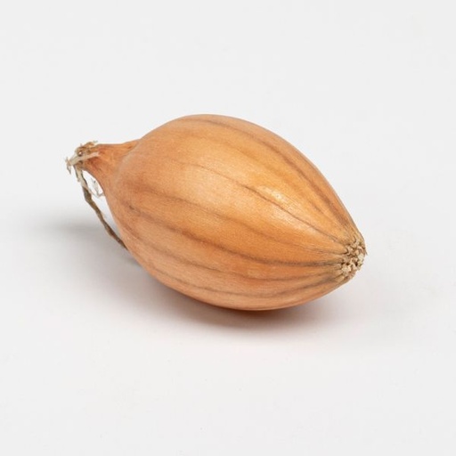 Oignon à planter STURON