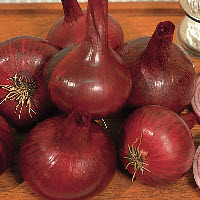 [07-003895] Plantajuin RED KARMEN - ca. 500 g