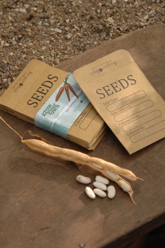 [12-007794] 12 enveloppes à graines