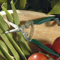 [12-007873] Cisailles pour fruits et legumes