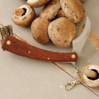 [12-007884] Couteau pour champignons - 23 cm