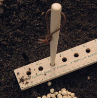[12-008831] Regle a planter - 1 m