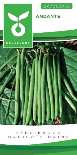[04-003416] Haricots nains - Mange tout ANDANTE - ca 100 gr