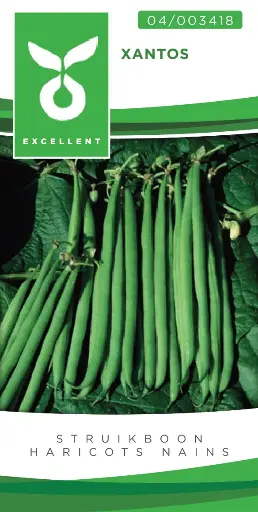 [04-003418] Haricots nains - Mange tout XANTOS - ca 100 g