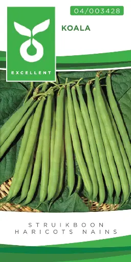 [04-003428] Haricots nains - Mange tout KOALA - ca 100 gr