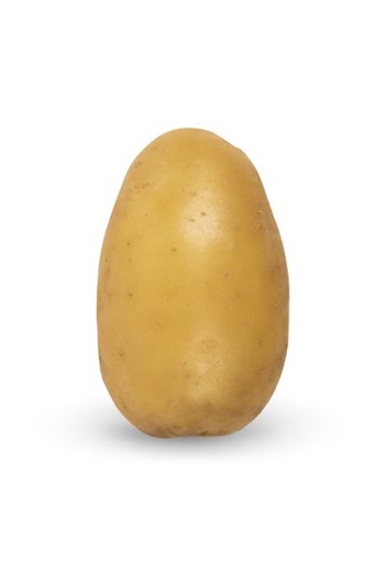Aardappelpootgoed LADY CHRISTL klasse A 25/30