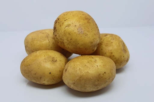 Aardappelpootgoed AGRIA klasse A 28/35