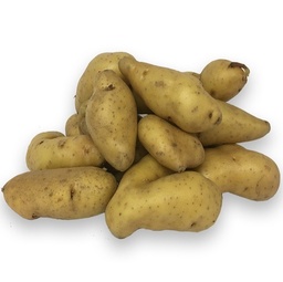 [07-000967] Aardappelpootgoed RATTE klasse A 25/32 - per kg