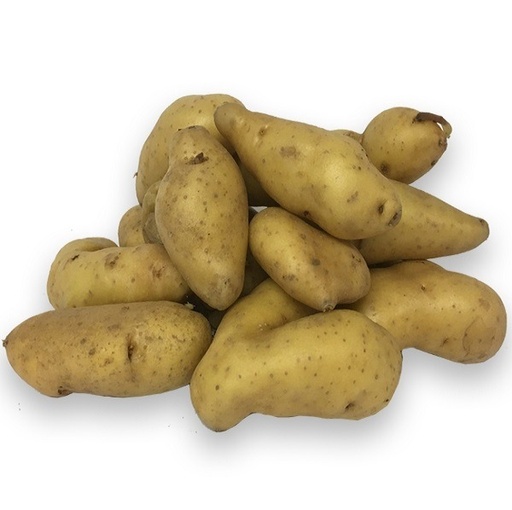 Plants de pomme de terre RATTE Classe B 25/32 - par kg