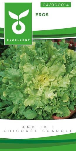 [04-000014] Chicorée scarole d'hiver EROS - ca. 1 g