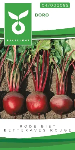 [04-000085] Betteraves rouges BORO - ca. 5 g