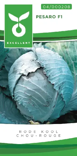 [04-000208] Rodekool BANDOLERO F1 - ca 100 z