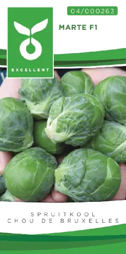 [04-000263] Spruitkool MARTE F1 - ca 50 z