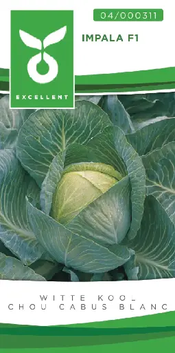 [04-000311] Chou cabus blanc IMPALA F1 - ca 100 s