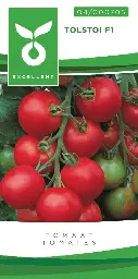 [04-000705] Tomaten TOLSTOI - ca 50 z