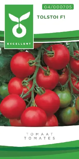 [04-000705] Tomates TOLSTOI F1 - ca 50 s