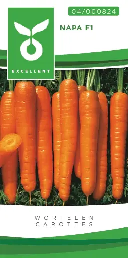 [04-000824] Wortelen NAPA F1 - ca 1000 z