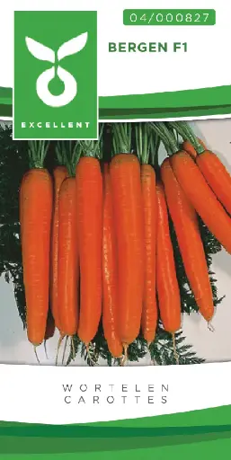 [04-000827] Wortelen BERGEN F1 - ca 1000 z