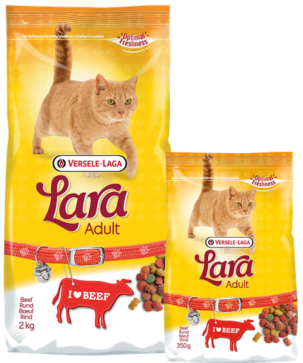 [VER441071] Lara ADULT BEEF - 2 kg
