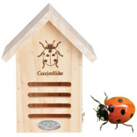 [12-008824] Abri coccinelles