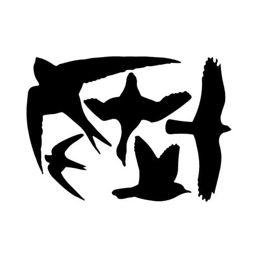 [12-008878] Raamstickers vogels - 5 stickers