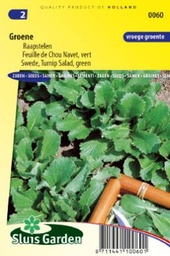 [01-000060] GROENE RAAPSTELEN - ca 2200 z