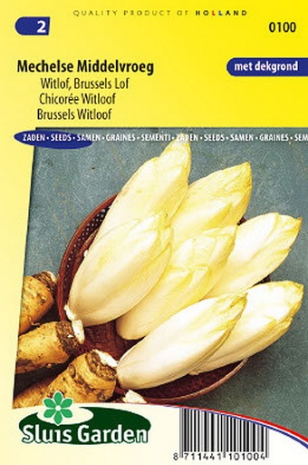 [01-000101] Witloof HOLLANDSE MIDDELVROEG - ca 250 z