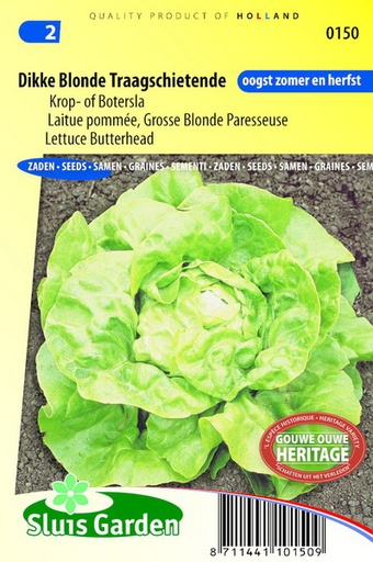 [01-000150] Laitue pommée GROSSE BLONDE - ca 1000 s