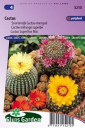 [01-005210] CACTUSMENGSEL - ca 50 z