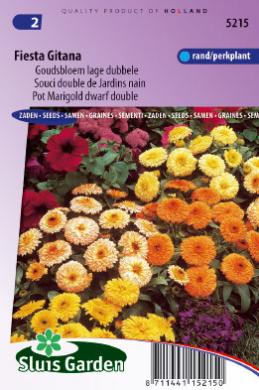 [01-005215] Calendula officinalis of goudsbloem FIESTA GITANA - ca 90 z