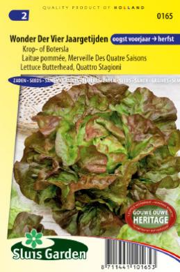 [01-000165] Laitue pommée MERVEILLE DES 4 SAISONS - ca 900 s