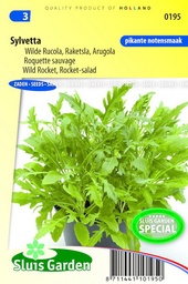 [01-000195] Raketsla (rucola) SYLVETTA - ca 8000 z